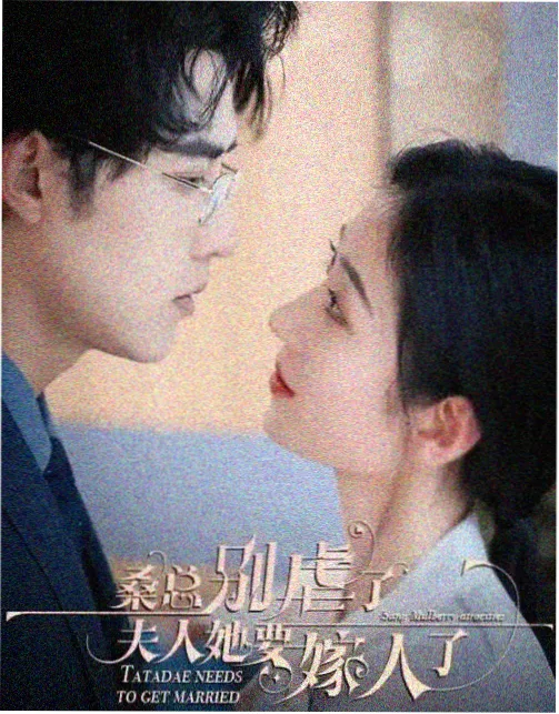 继承之战 红杏视频高分剧集